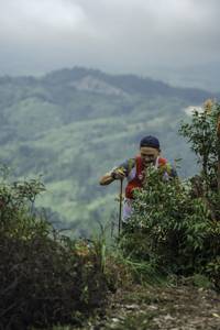 BIB: 
                            <button type="button" onclick="openModal(24763507)" class="btn btn-primary btn-sm float-right btn-popup" data-toggle="modal" data-target=".modal-high-quality">
                        <i class="fas fa-shopping-cart"></i> Add to Cart
                    </button>
                                            <button type="button" onclick="isThisMe(24763507, true)" class="btn btn-success btn-sm float-right btn-popup btn-isme hidden" data-toggle="tooltip" data-placement="bottom" title="นี่คือรูปของคุณใช่ไหม คลิกที่นี่เพื่อเอาเข้าอัลบั้ม">
                        <i class="fas fa-plus"></i> Add to album
                    </button>
                    <button type="button" onclick="isThisMe(24763507, false)" class="btn btn-warning btn-sm float-right btn-popup btn-isnotme hidden">
                        <i class="fas fa-ban"></i> Remove from album
                    </button>